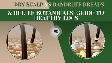 Dry Scalp vs Dandruff Dreads & Relief Botanicals’ Guide to Healthy Locs